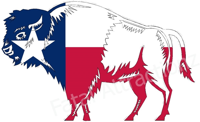 Texas Flag Buffalo