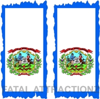 West Virginia Flag Cornhole Cover