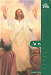 Acts
Author: Richard D. Balge
Luke wrote Acts as a continuation of his gospel. In this book Luke recorded the growth of the early church after Jesus ascended to heaven. The first part of the book records the growth of the church in and around Jerusalem.