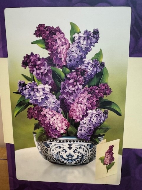 Garden Lilacs - Life-Sized Pop-Up Flower Bouquet