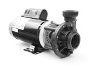 3420620-10 Waterway Hi-Flo ii Pump 342062010 P215HF2024