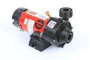 Waterway Tiny Might Pump TM0061N11C30 3312610-14