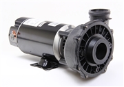 Waterway Spa Pump Executive PF-20-1N12C4 3410830-13 P120E425201224 341083013