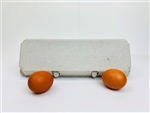 12ct Blank Egg Cartons