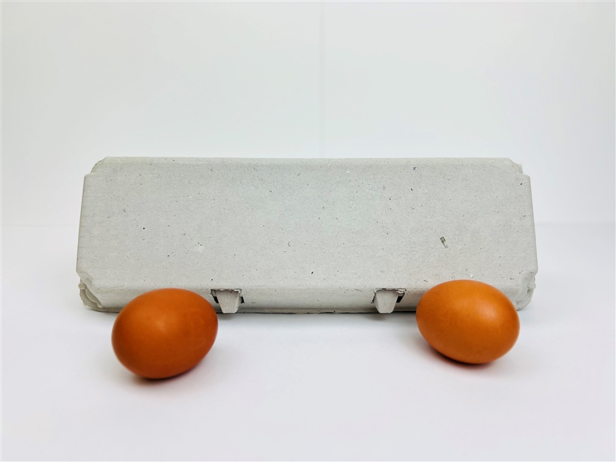 Blank Egg Cartons Bulk 5 Packs - Holds 12 Eggs 1 Dozen, Reusable Plastic  Egg Trays for