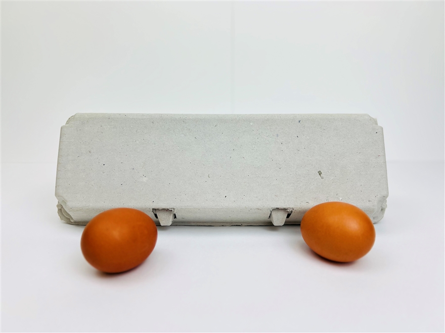 12ct Blank Egg Cartons