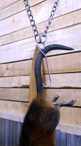 HAGZ Tail Hook