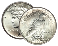 Peace Silver Dollar - our Choice of Date from 1920's