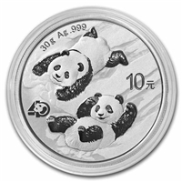 2022 China 30g Silver Panda Â¥10 Coin Gem BU