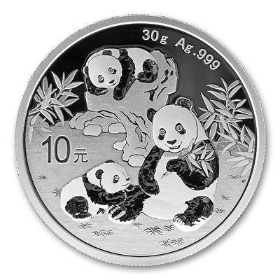 2025 China 30g Silver Panda Â¥10 Coin Gem BU