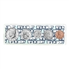 2024 Birth Year Coin Set in "It's a Boy" Holder