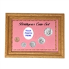 2023 Birth Year Coin Set in Pink Baby Picture Frame Holder