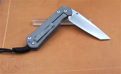 Large Sebenza 21 Plain Tanto