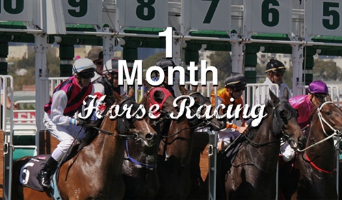 1 Month Horse Racing