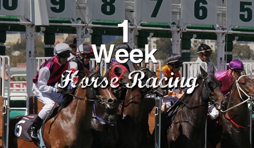 1 Week Horse Racing