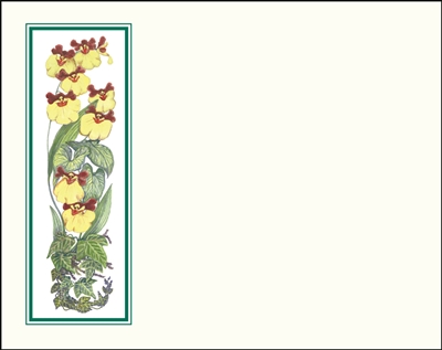 Falls 627 Enclosure Card - Yellow Flowers with a Green Border