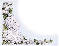 Falls 704 Enclosure Card - White Flowers with Holly