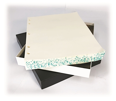 Minute Filler Two Post & Three Ring (250 Sheets)