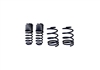 2005-2014 MUSTANG GT STREET LOWERING SPRINGS (M-5300-KA)
