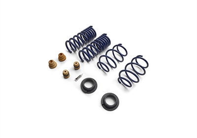2015-2024 MUSTANG STREET LOWERING SPRING KIT (M-5300-S65S)