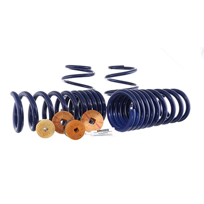 2015-2023 MUSTANG TRACK LOWERING SPRING KIT (M-5300-YA)