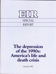 The Depression of the 1990s: America's life and death crisis