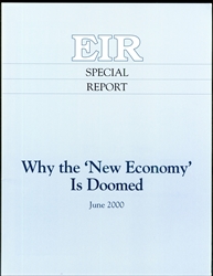 Why the 'New Economy' Is Doomed