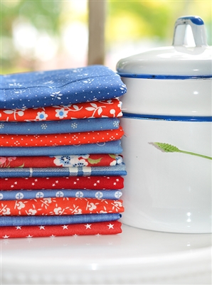 Blue & Red  AMERICANA Bundle - 1 Left