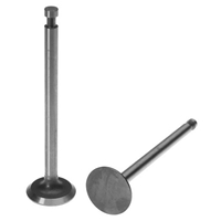 Exhaust Valve