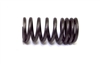 Valve Spring