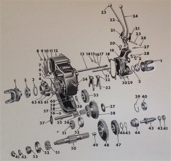 Speedometer Drive Gear