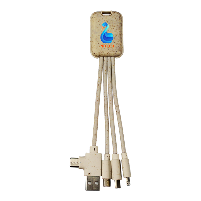 Dual Type C Eco Friendly Charging Cable