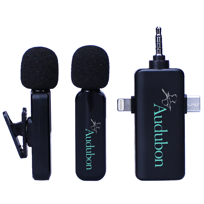 Wireless Microphone