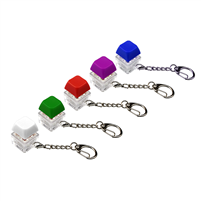 Keycap Fidget Keychain