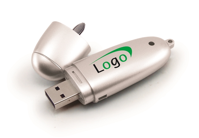 USB Pen Drive 100