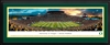 Oregon Ducks - Autzen Stadium Panoramic