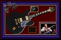 Guitar Custom Shadow Box Framing