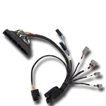 AEM Infinity 5-series EMS Plug-N-Play Wiring Harness for 1992-1995 Honda/Acura B/D/H Series OBDI Applications