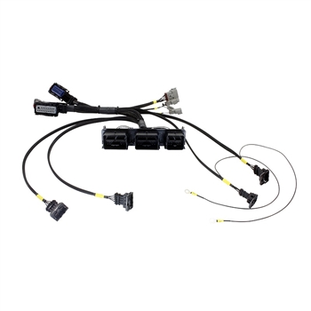 AEM Infinity 7-series EMS Plug-N-Play Wiring Harness for Ford Coyote 5.0L V8 w/ Ford Racing Controls Pack Harness