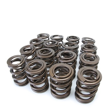 Skunk2 Racing Alpha Series Valve Springs 1992-2001 Honda H22A, F20B 2.0L/2.2L DOHC VTEC