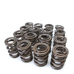 Skunk2 Racing Pro Series Valve Springs 1988-2001 Honda/Acura B16A-B, B17A, B18C1-5 1.6L-1.8L DOHC VTEC