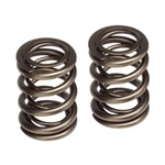 Skunk2 Racing Pro Series Valve Springs 2000-2008 Honda F20C, F22C 2.0L/2.2L DOHC VTEC