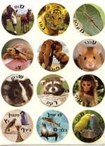 Alephbet Animals - 24/sheet - 5 pack