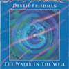 Debbie Friedman: The Water in the Well (CD)