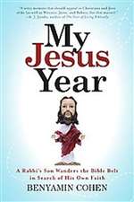 My Jesus Year