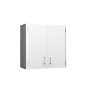 30" 2-Door Wall Cabinet
