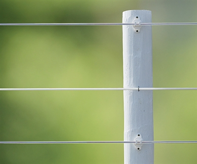 White Lightning Single Strand Coated Horse Fencing