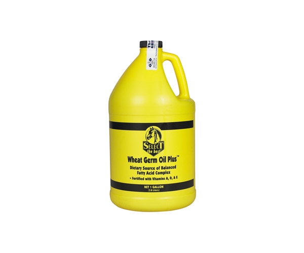 Select the Best Wheat Germ Oil Plus