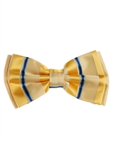 Royalty Gold Pre-Tied Bow Tie with Matching Pocket Square BWTH -1356