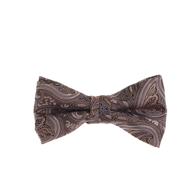Paisley Purple & Bronze Pre-tied Bow Tie with Matching Pocket SquareBWTH-1407